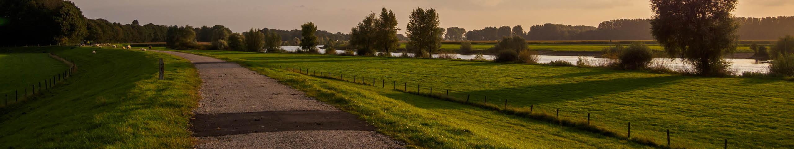 Banner Grote vakantiehuizen Limburg